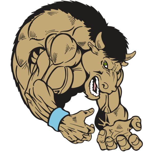 AR5 BUFFALO 12 RQC Thumbnail